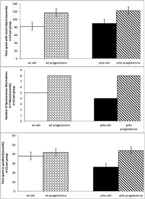 Progesterone's Effects on Cognitive Performance of Male Mice Are Independent of Progestin Receptors but Relate to Increases in GABAA Activity in the Hippocampus and Cortex